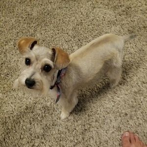 Meet your Posher, Emma